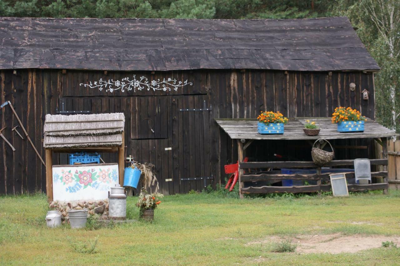 Zagroda Zalipie Gostynin Eksteriør bilde