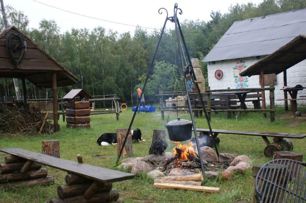 Zagroda Zalipie Gostynin Eksteriør bilde