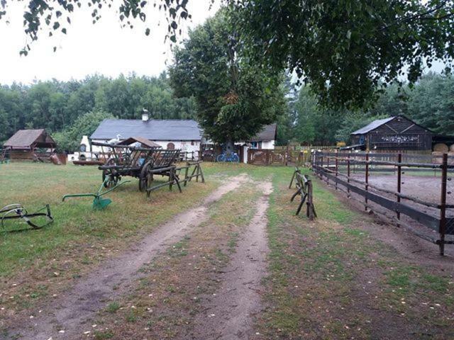 Zagroda Zalipie Gostynin Eksteriør bilde